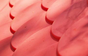 Pidney plastic roof costs