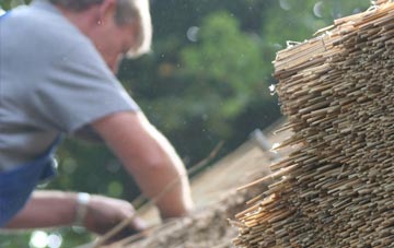 professional Pidney thatchers