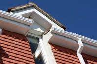 Pidney fascias