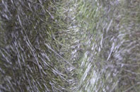 Pidney fibreglass roof work