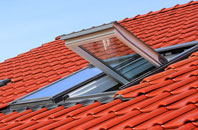 Pidney roof window