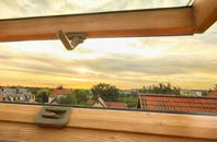rated Pidney roof window companies